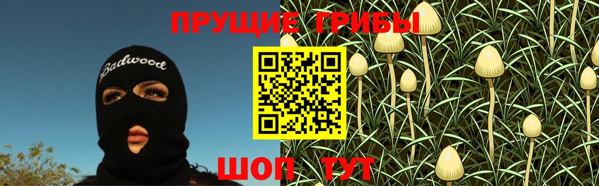 Псилоцибиновые грибы мухоморы Нижнеудинск